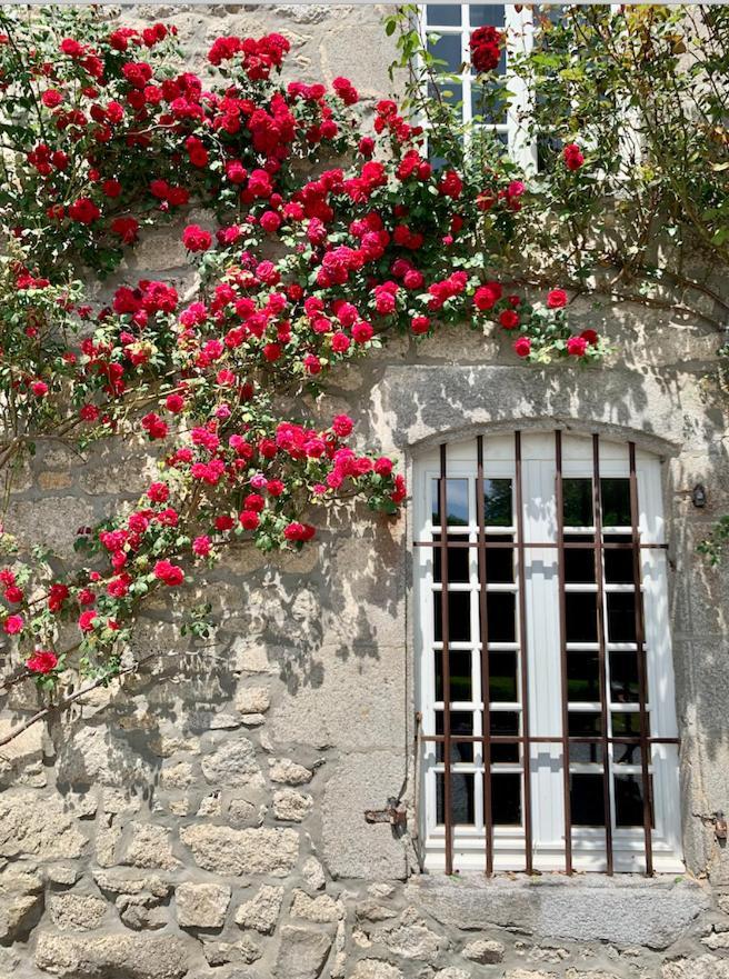 Chateau De La Borde A Ussel, Centre-Ville, Proche Autoroute A89 Ussel  Εξωτερικό φωτογραφία